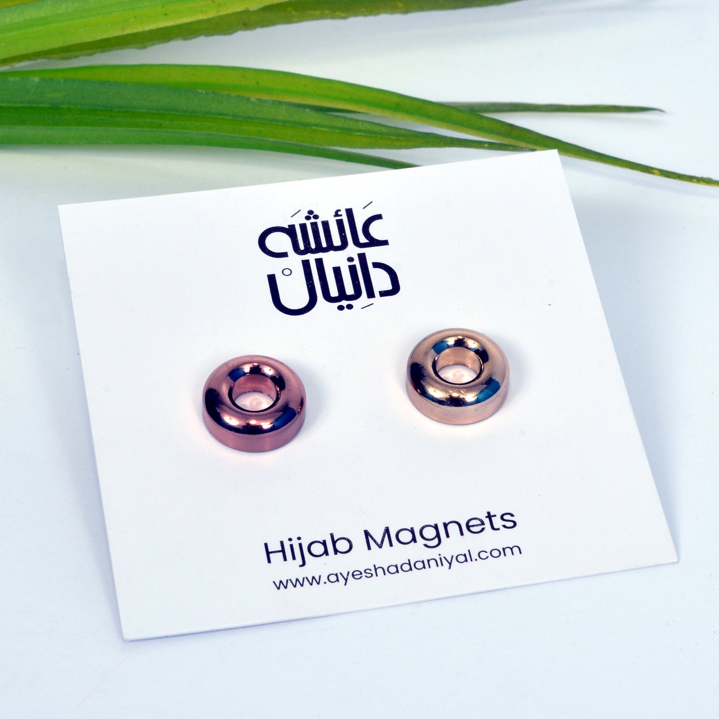 Pair of Donut Magnet (Metallic) - DaalAin