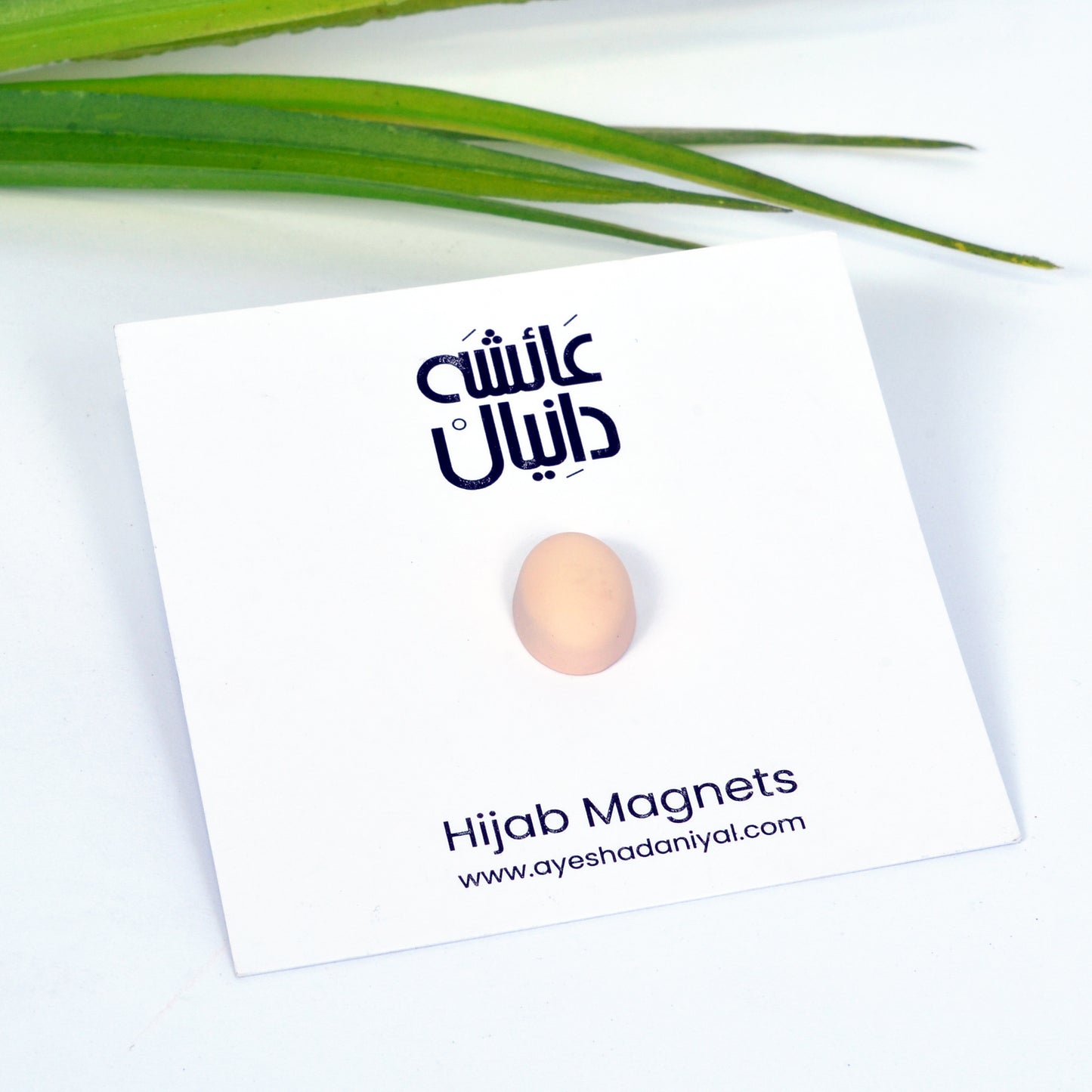 Oval OffWhite Magnet (Matte) - DaalAin